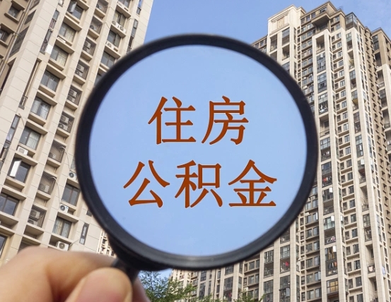 阳江退休后查不到公积金明细了吗（退休后公积金查询不到原因）